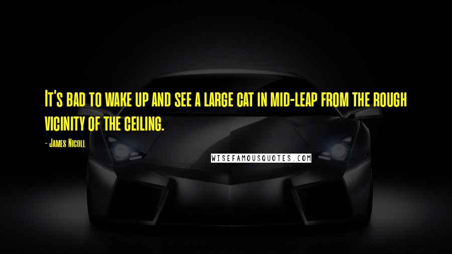 James Nicoll Quotes: It's bad to wake up and see a large cat in mid-leap from the rough vicinity of the ceiling.