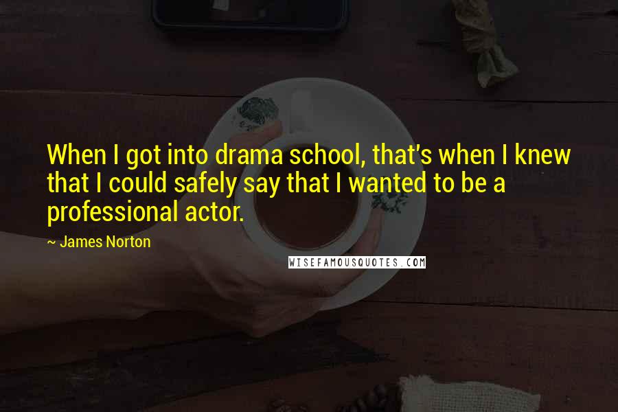 James Norton Quotes: When I got into drama school, that's when I knew that I could safely say that I wanted to be a professional actor.