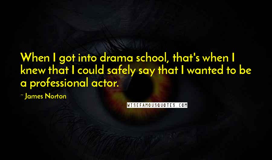 James Norton Quotes: When I got into drama school, that's when I knew that I could safely say that I wanted to be a professional actor.