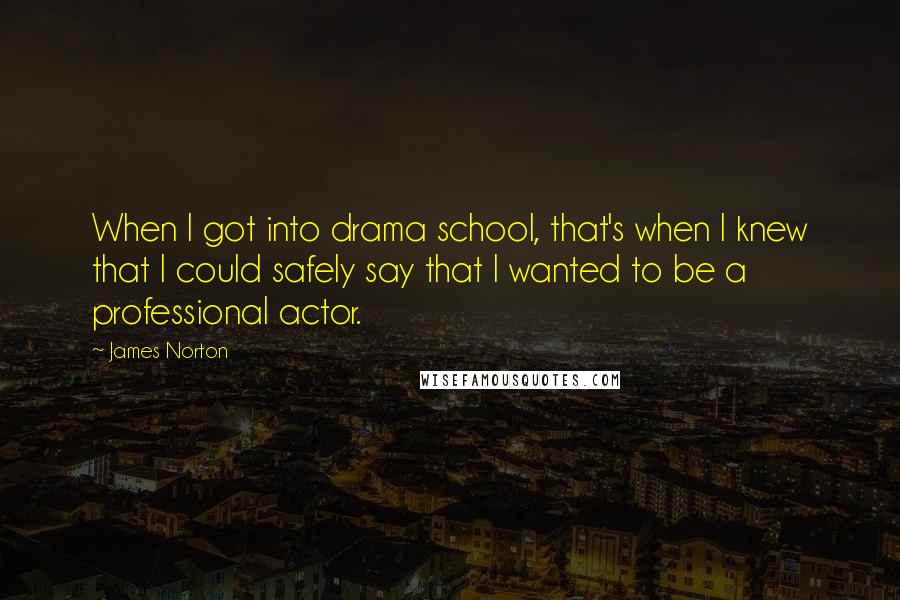 James Norton Quotes: When I got into drama school, that's when I knew that I could safely say that I wanted to be a professional actor.