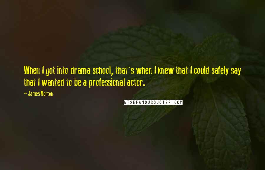 James Norton Quotes: When I got into drama school, that's when I knew that I could safely say that I wanted to be a professional actor.