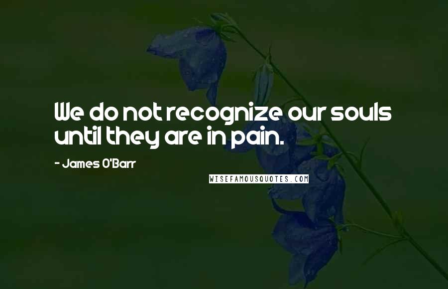 James O'Barr Quotes: We do not recognize our souls until they are in pain.