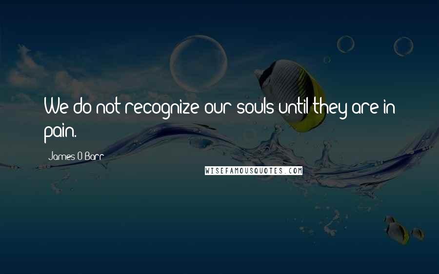 James O'Barr Quotes: We do not recognize our souls until they are in pain.