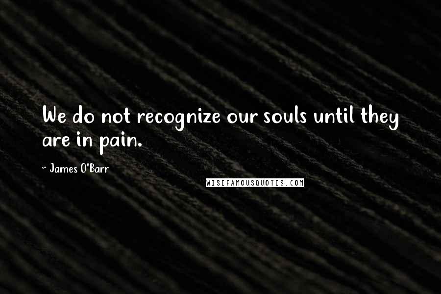 James O'Barr Quotes: We do not recognize our souls until they are in pain.