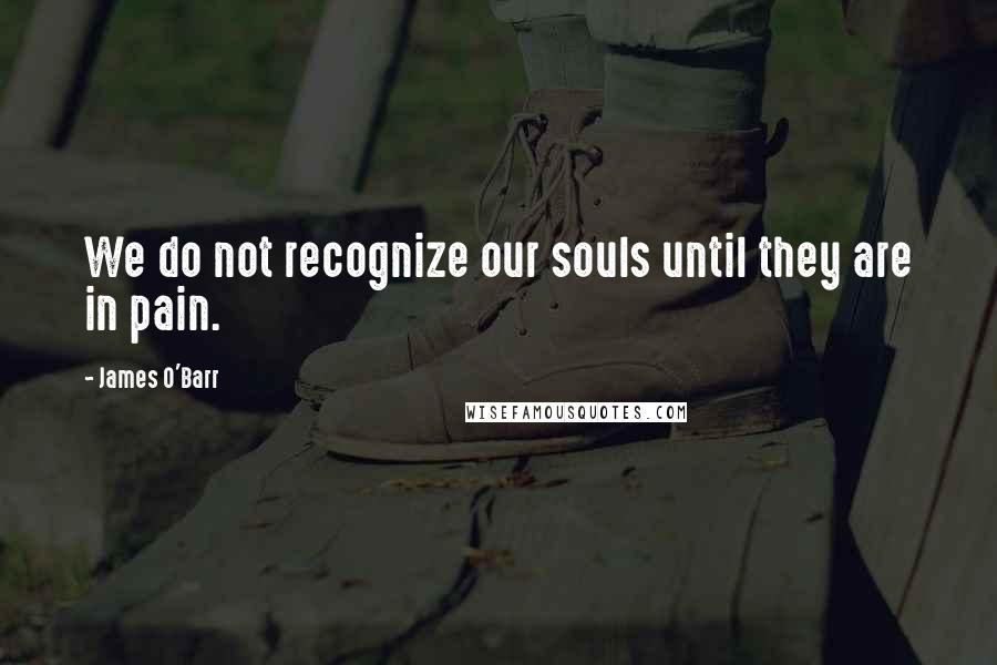 James O'Barr Quotes: We do not recognize our souls until they are in pain.