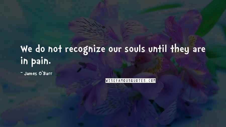 James O'Barr Quotes: We do not recognize our souls until they are in pain.