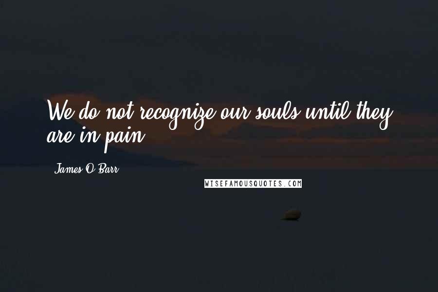 James O'Barr Quotes: We do not recognize our souls until they are in pain.