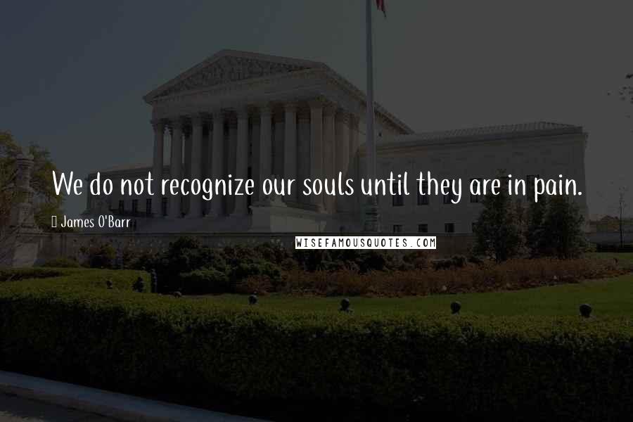 James O'Barr Quotes: We do not recognize our souls until they are in pain.