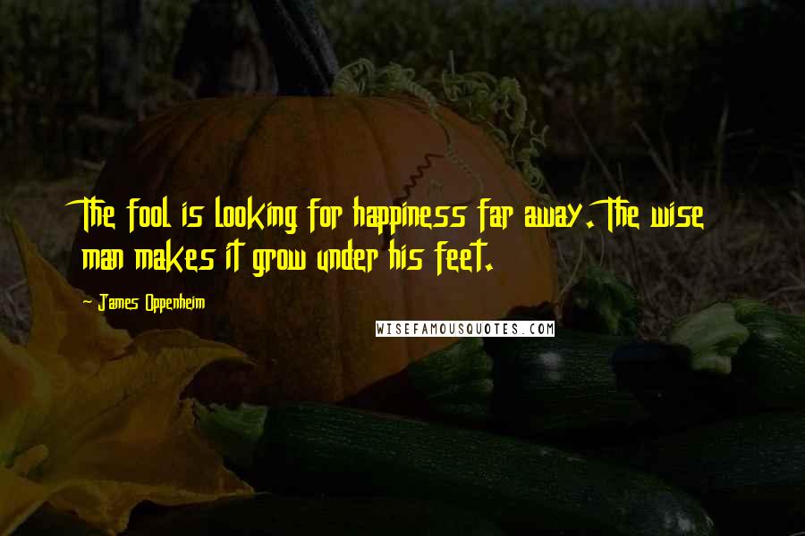 James Oppenheim Quotes: The fool is looking for happiness far away. The wise man makes it grow under his feet.