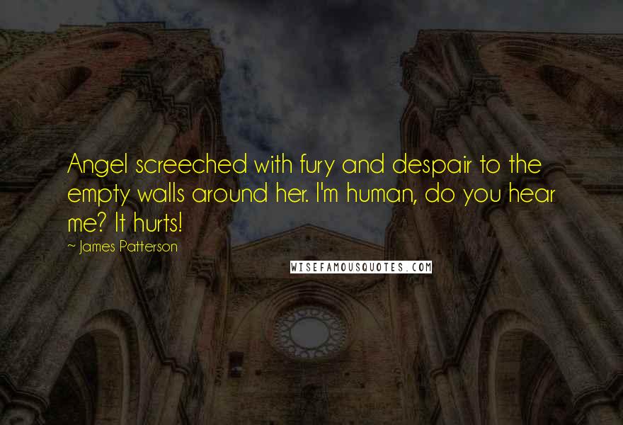 James Patterson Quotes: Angel screeched with fury and despair to the empty walls around her. I'm human, do you hear me? It hurts!