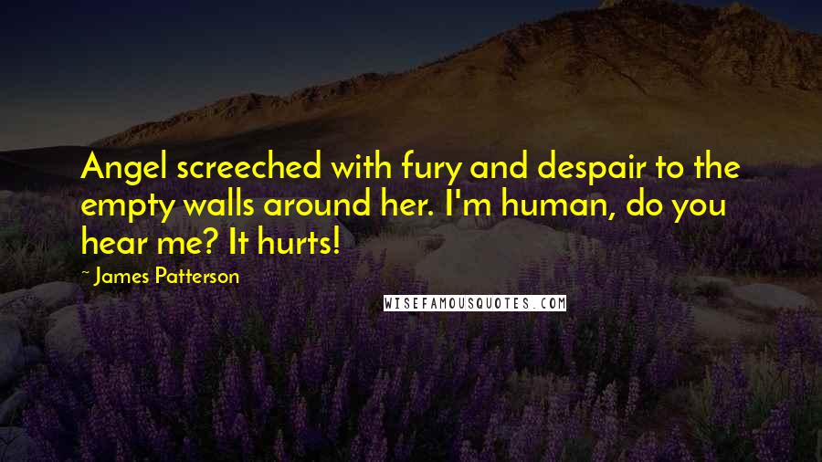 James Patterson Quotes: Angel screeched with fury and despair to the empty walls around her. I'm human, do you hear me? It hurts!