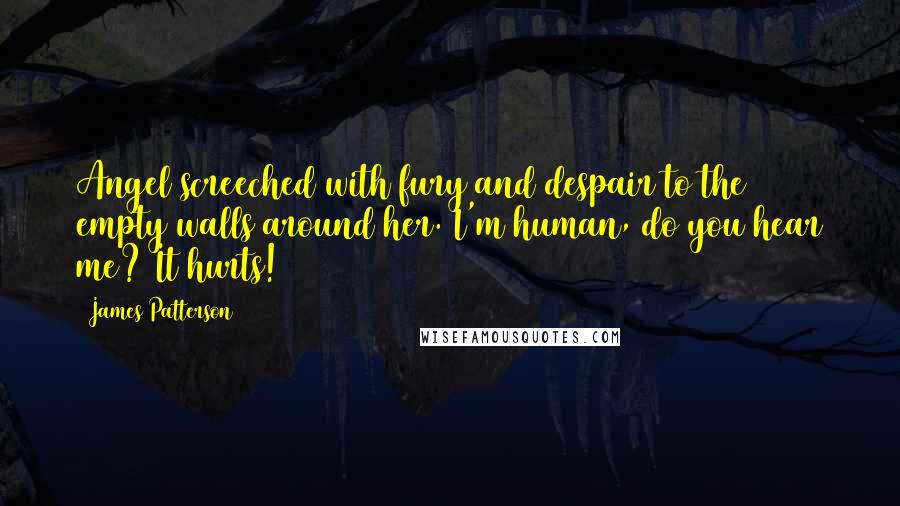 James Patterson Quotes: Angel screeched with fury and despair to the empty walls around her. I'm human, do you hear me? It hurts!