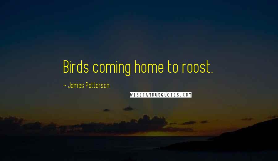 James Patterson Quotes: Birds coming home to roost.