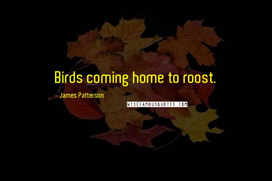 James Patterson Quotes: Birds coming home to roost.