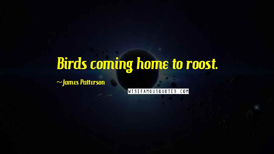 James Patterson Quotes: Birds coming home to roost.