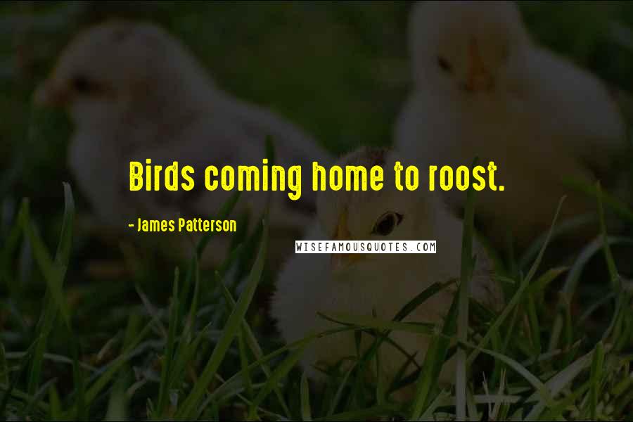 James Patterson Quotes: Birds coming home to roost.