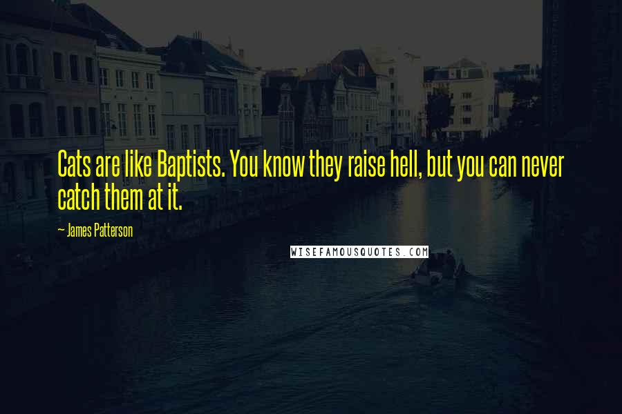 James Patterson Quotes: Cats are like Baptists. You know they raise hell, but you can never catch them at it.