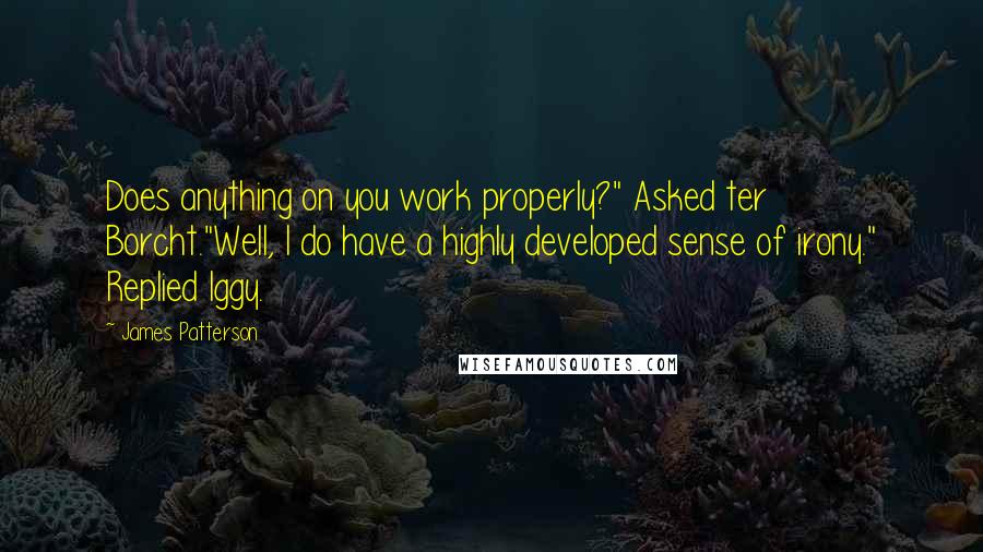 James Patterson Quotes: Does anything on you work properly?" Asked ter Borcht."Well, I do have a highly developed sense of irony." Replied Iggy.