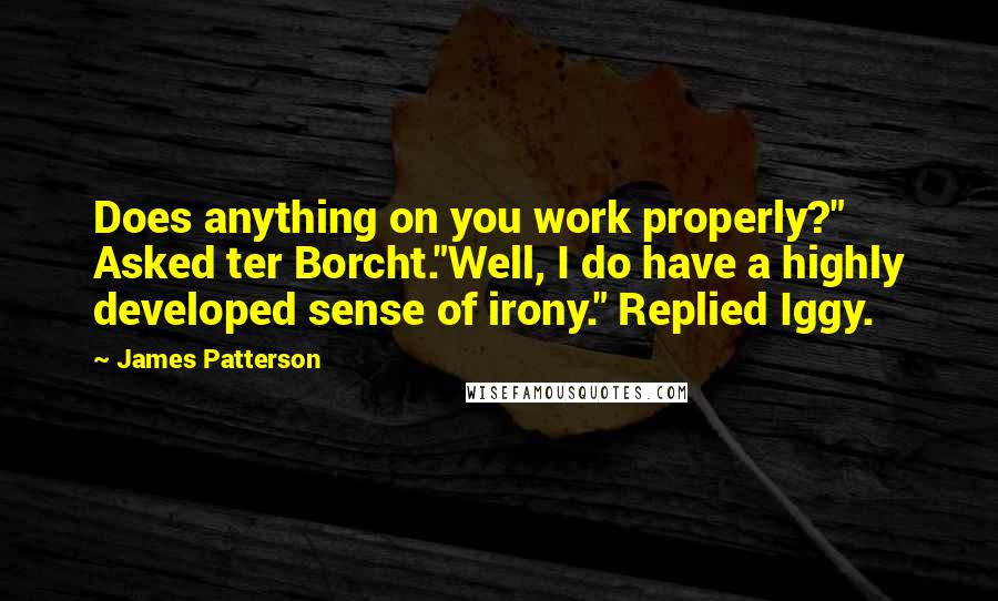 James Patterson Quotes: Does anything on you work properly?" Asked ter Borcht."Well, I do have a highly developed sense of irony." Replied Iggy.
