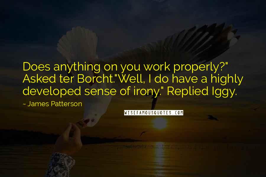 James Patterson Quotes: Does anything on you work properly?" Asked ter Borcht."Well, I do have a highly developed sense of irony." Replied Iggy.