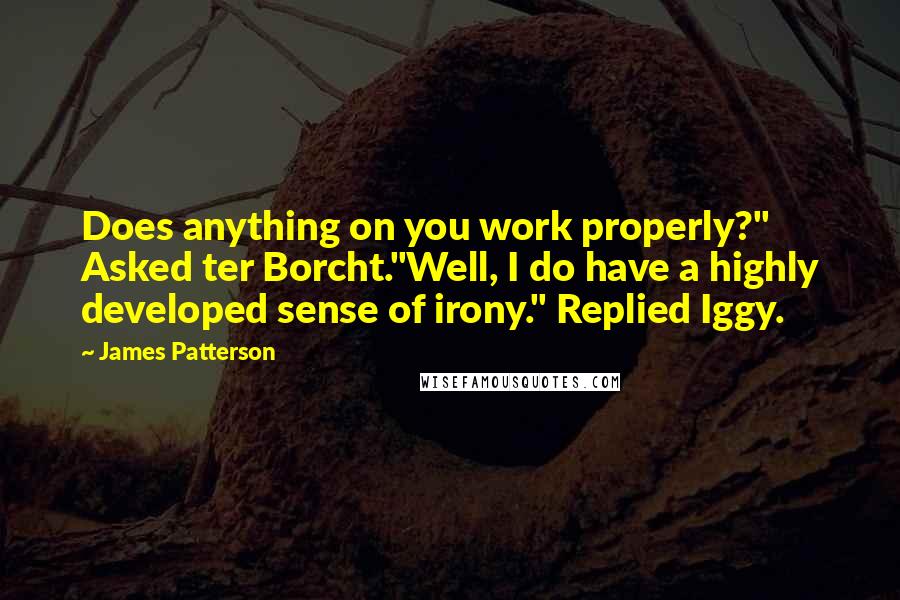 James Patterson Quotes: Does anything on you work properly?" Asked ter Borcht."Well, I do have a highly developed sense of irony." Replied Iggy.