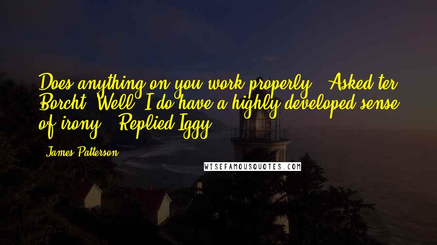 James Patterson Quotes: Does anything on you work properly?" Asked ter Borcht."Well, I do have a highly developed sense of irony." Replied Iggy.