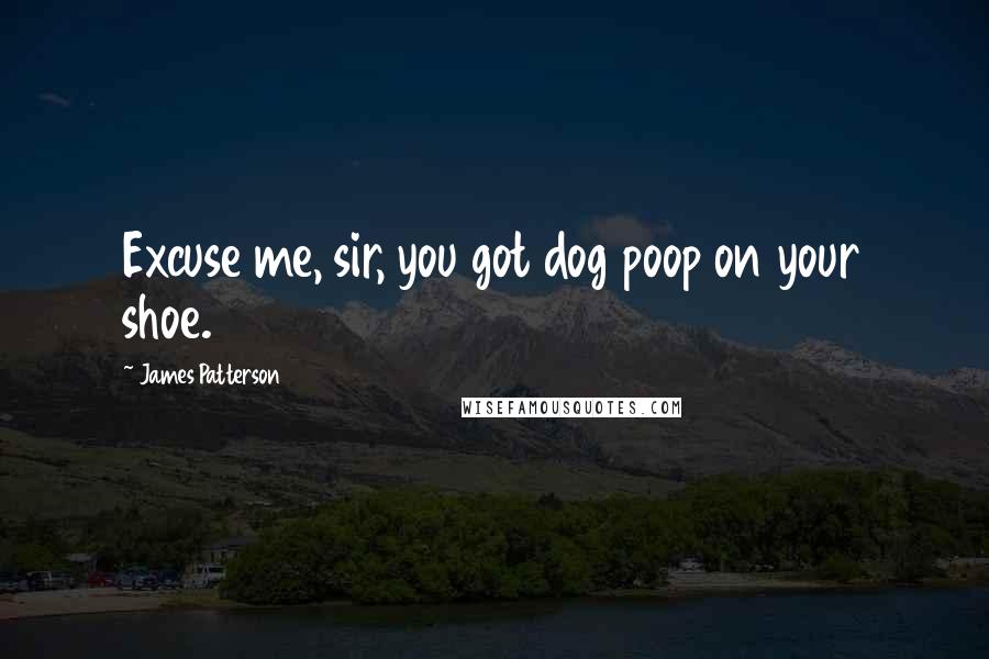 James Patterson Quotes: Excuse me, sir, you got dog poop on your shoe.