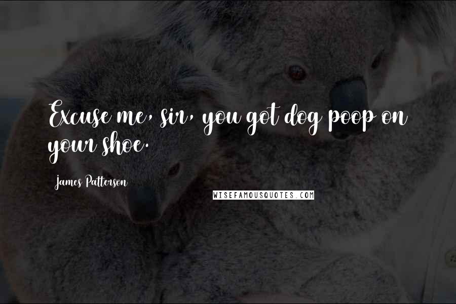 James Patterson Quotes: Excuse me, sir, you got dog poop on your shoe.