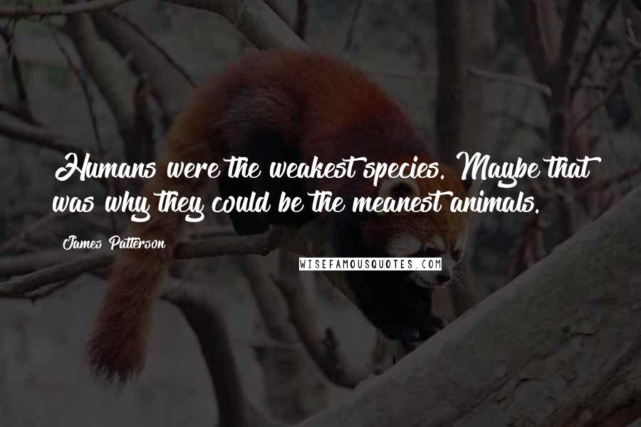 James Patterson Quotes: Humans were the weakest species. Maybe that was why they could be the meanest animals.