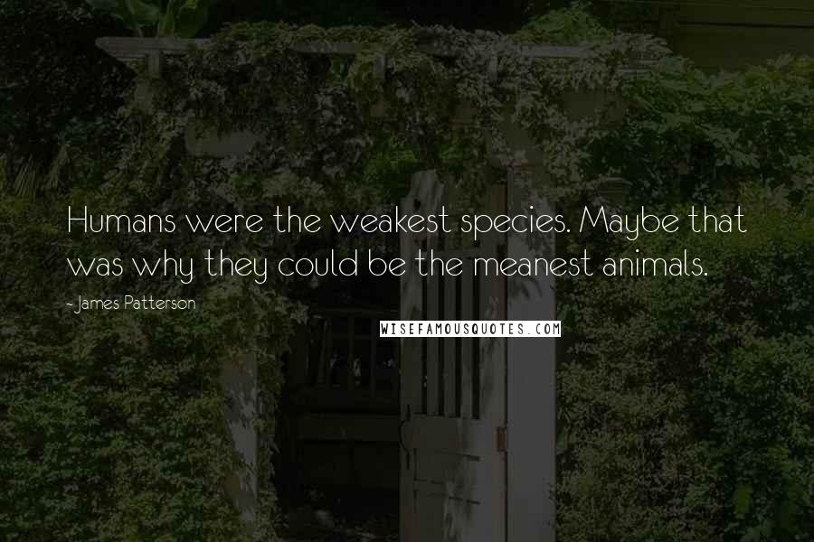 James Patterson Quotes: Humans were the weakest species. Maybe that was why they could be the meanest animals.