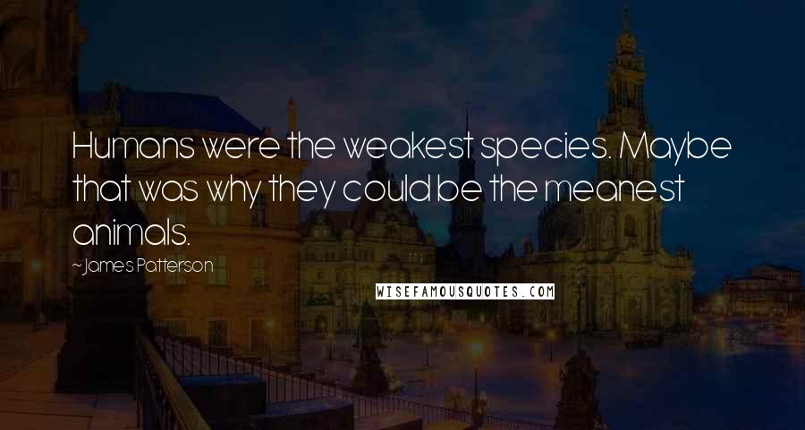 James Patterson Quotes: Humans were the weakest species. Maybe that was why they could be the meanest animals.