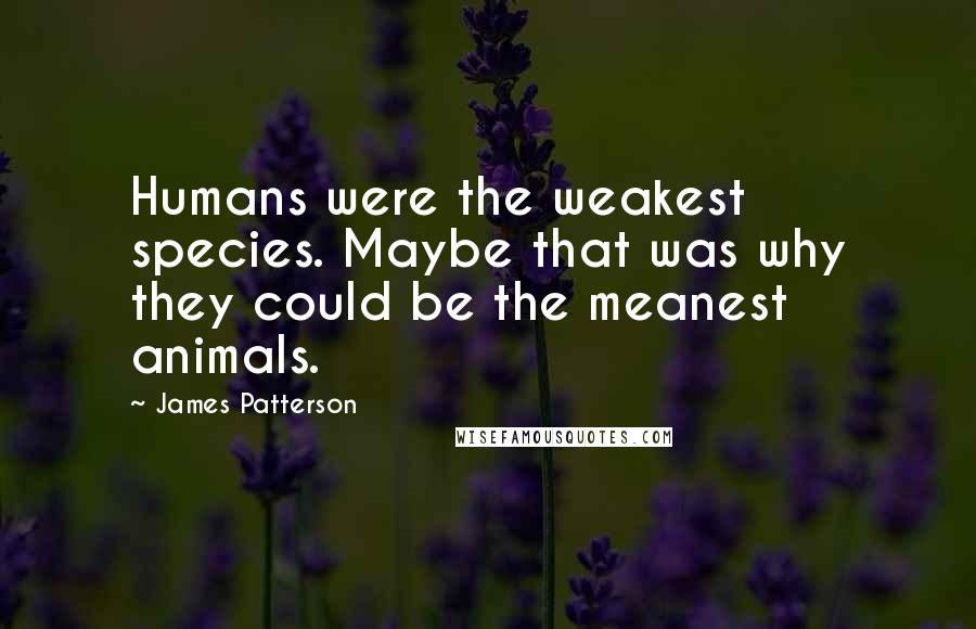 James Patterson Quotes: Humans were the weakest species. Maybe that was why they could be the meanest animals.