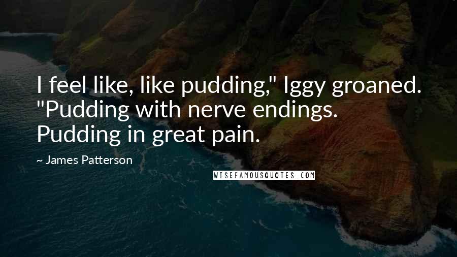 James Patterson Quotes: I feel like, like pudding," Iggy groaned. "Pudding with nerve endings. Pudding in great pain.