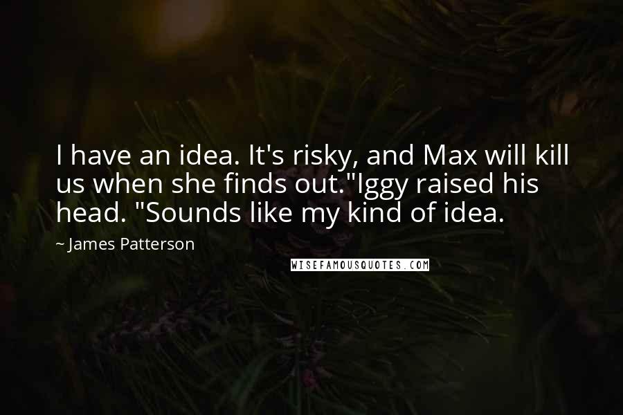 James Patterson Quotes: I have an idea. It's risky, and Max will kill us when she finds out."Iggy raised his head. "Sounds like my kind of idea.