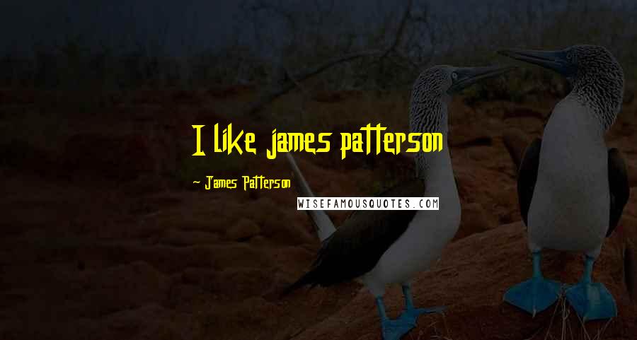 James Patterson Quotes: I like james patterson