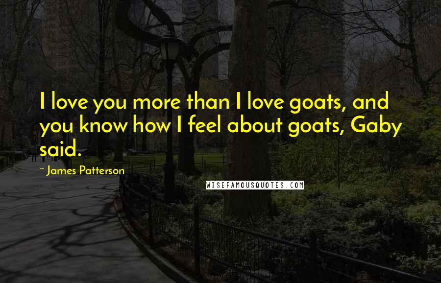 James Patterson Quotes: I love you more than I love goats, and you know how I feel about goats, Gaby said.