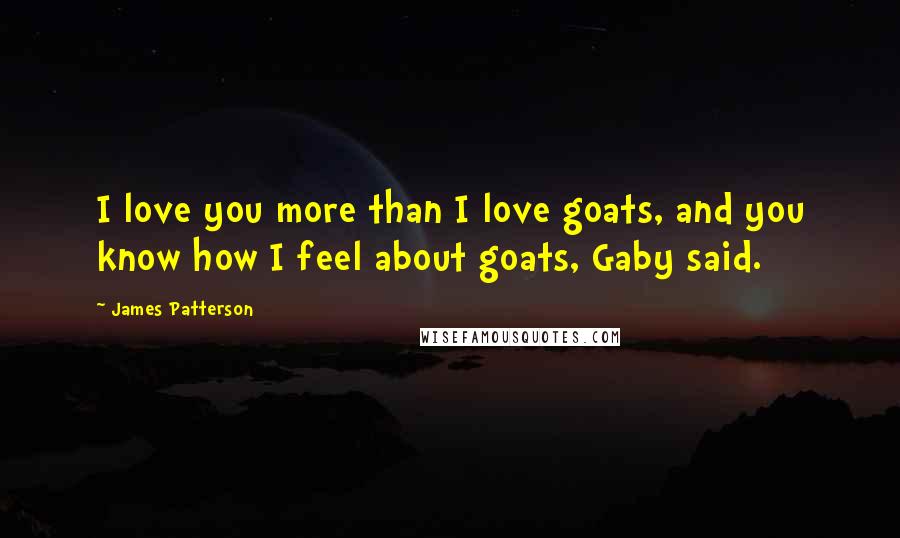 James Patterson Quotes: I love you more than I love goats, and you know how I feel about goats, Gaby said.