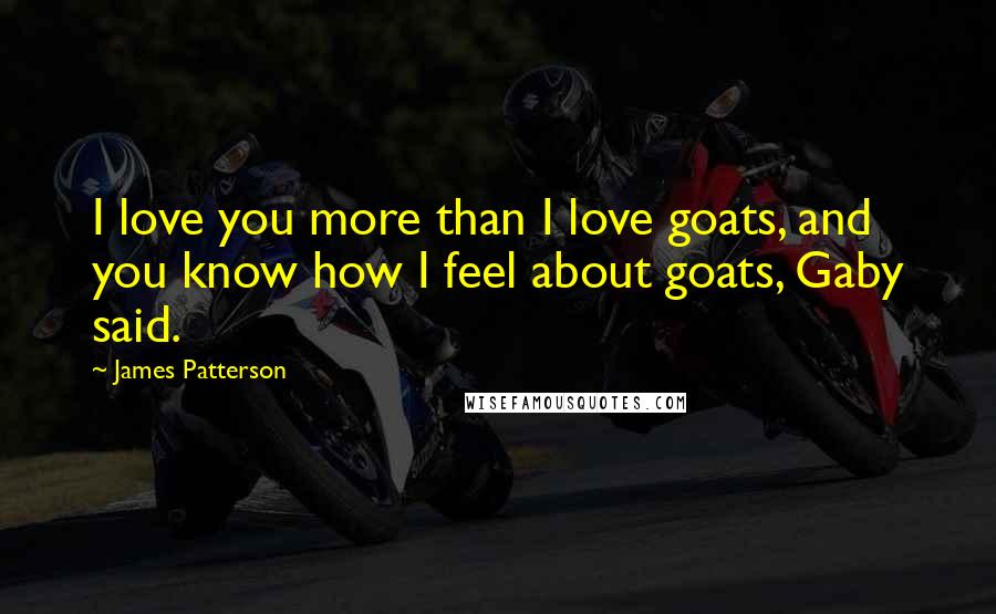 James Patterson Quotes: I love you more than I love goats, and you know how I feel about goats, Gaby said.