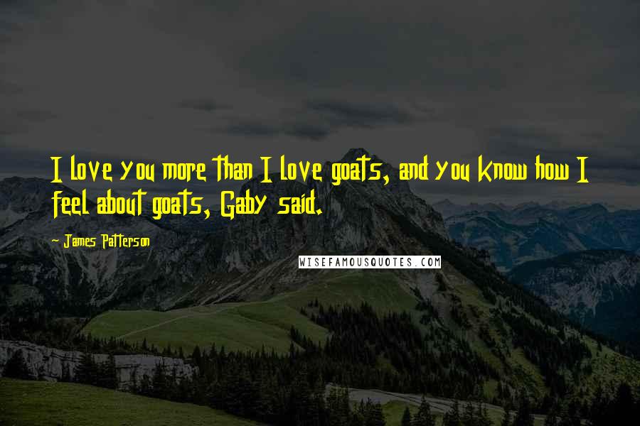 James Patterson Quotes: I love you more than I love goats, and you know how I feel about goats, Gaby said.