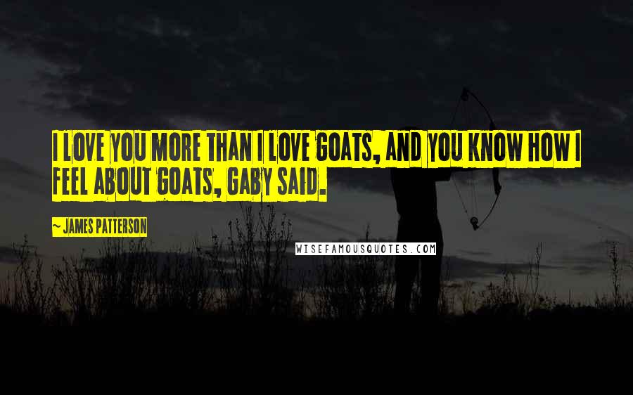 James Patterson Quotes: I love you more than I love goats, and you know how I feel about goats, Gaby said.