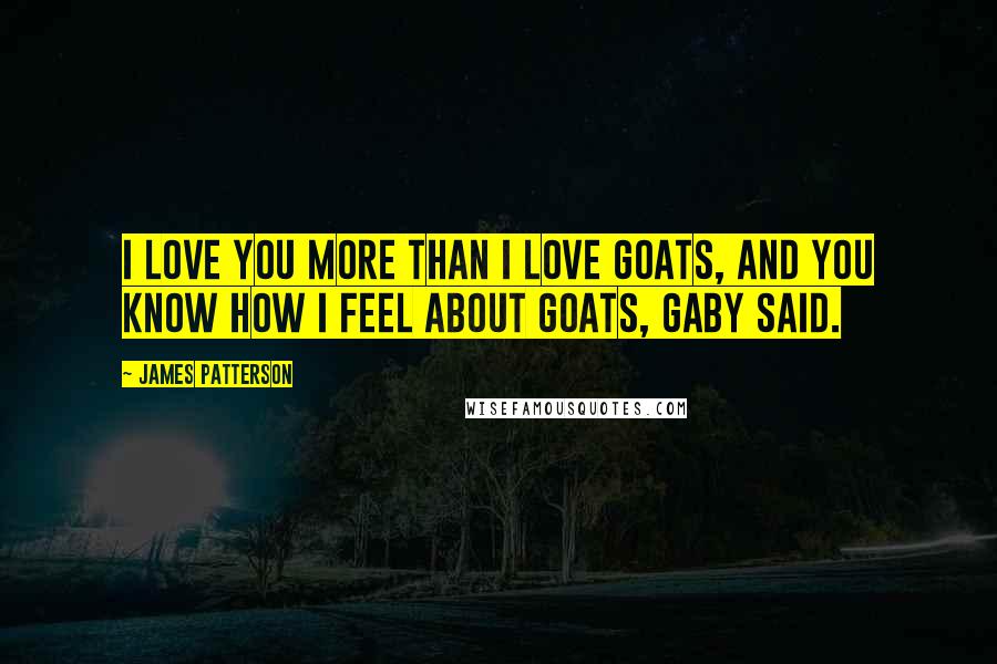 James Patterson Quotes: I love you more than I love goats, and you know how I feel about goats, Gaby said.