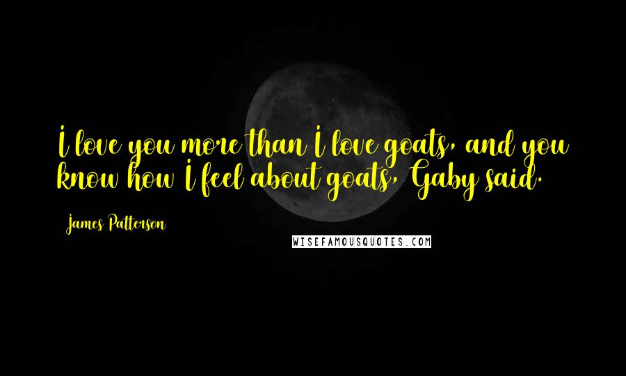 James Patterson Quotes: I love you more than I love goats, and you know how I feel about goats, Gaby said.