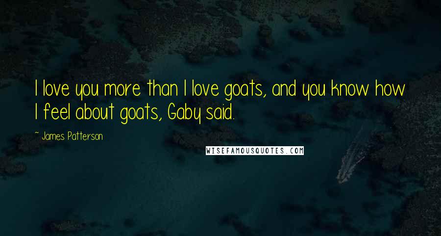 James Patterson Quotes: I love you more than I love goats, and you know how I feel about goats, Gaby said.