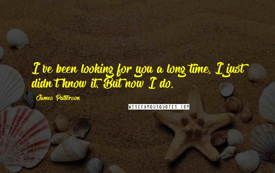 James Patterson Quotes: I've been looking for you a long time, I just didn't know it. But now I do.