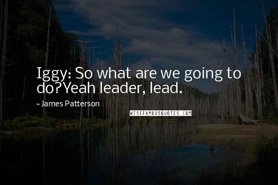 James Patterson Quotes: Iggy: So what are we going to do?Yeah leader, lead.