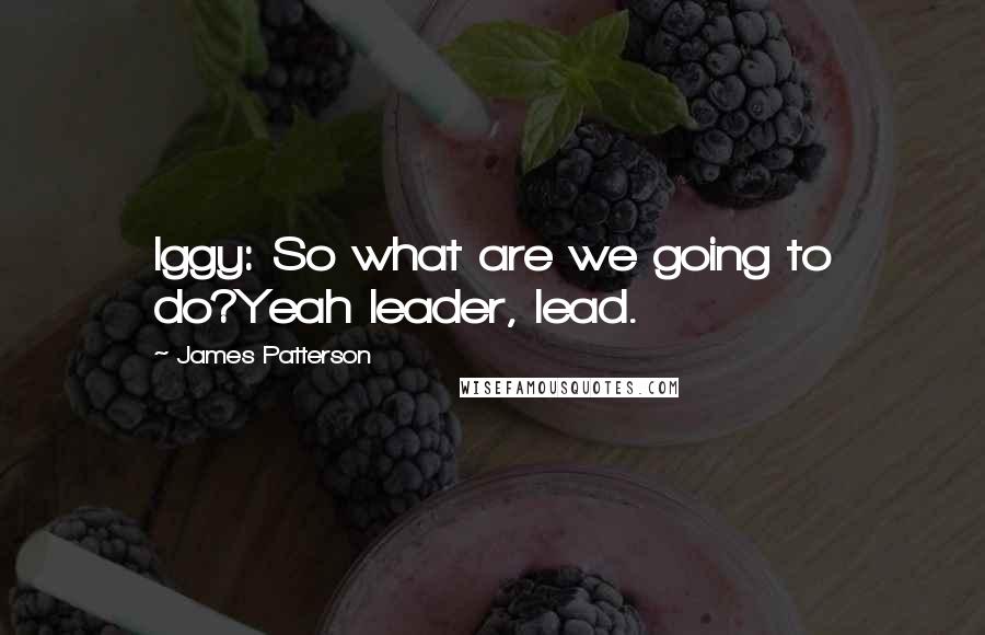James Patterson Quotes: Iggy: So what are we going to do?Yeah leader, lead.