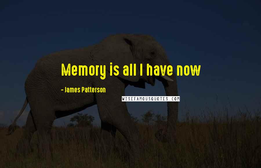 James Patterson Quotes: Memory is all I have now