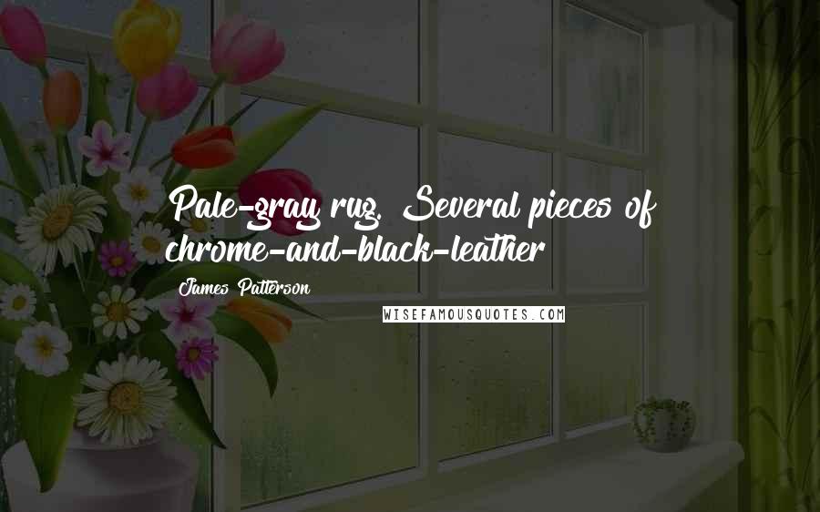James Patterson Quotes: Pale-gray rug. Several pieces of chrome-and-black-leather
