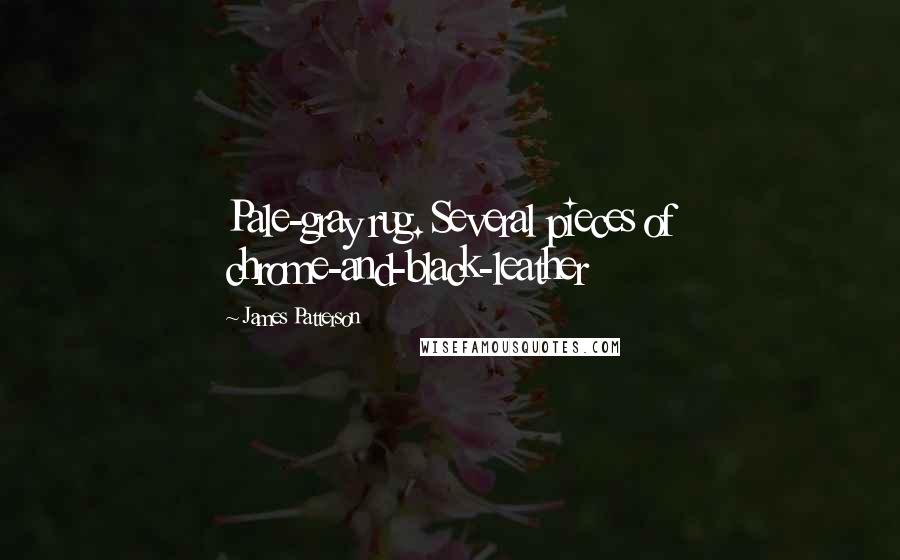 James Patterson Quotes: Pale-gray rug. Several pieces of chrome-and-black-leather
