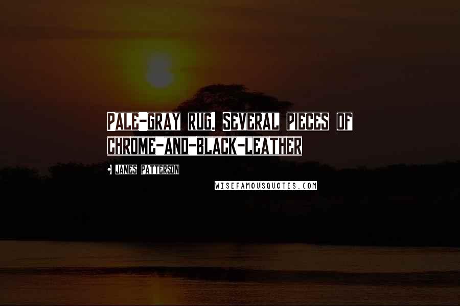 James Patterson Quotes: Pale-gray rug. Several pieces of chrome-and-black-leather